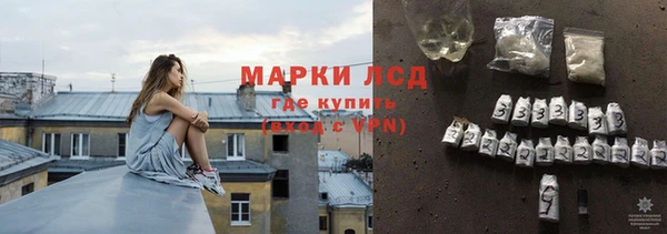 ПСИЛОЦИБИНОВЫЕ ГРИБЫ Осташков