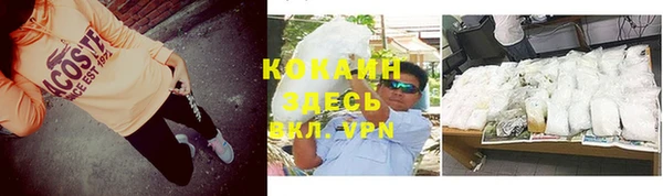 ПСИЛОЦИБИНОВЫЕ ГРИБЫ Осташков