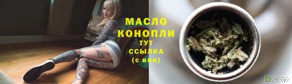 дмт Пестово