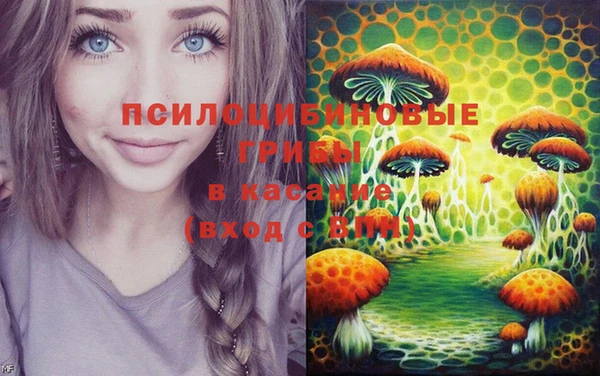 ПСИЛОЦИБИНОВЫЕ ГРИБЫ Осташков