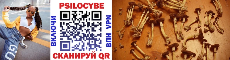 Галлюциногенные грибы Cubensis  Торжок 