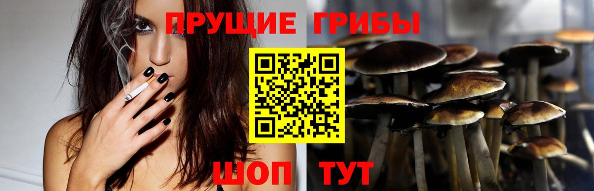 Галлюциногенные грибы Psilocybine cubensis  Вход с VPN  Торжок  Галлюциногенные грибы Psilocybine cubensis 